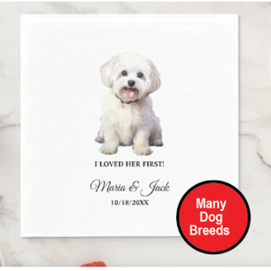 Serviette En Papier Chien maltais j'ai aimé son premier mariage