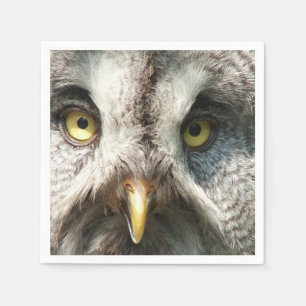 Serviette En Papier Chouette