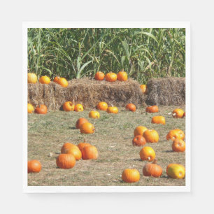 Serviette En Papier Citrouilles, maïs et foin Photographie de la récol
