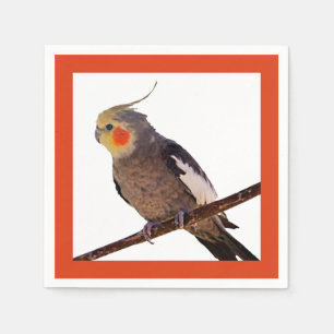 Serviette En Papier Cockatiel Gris et Jaune Oiseau animal de compagnie