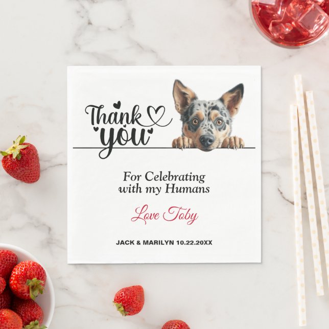 Serviette En Papier Cocktail Mariage de chien de bétail australien (En situation)