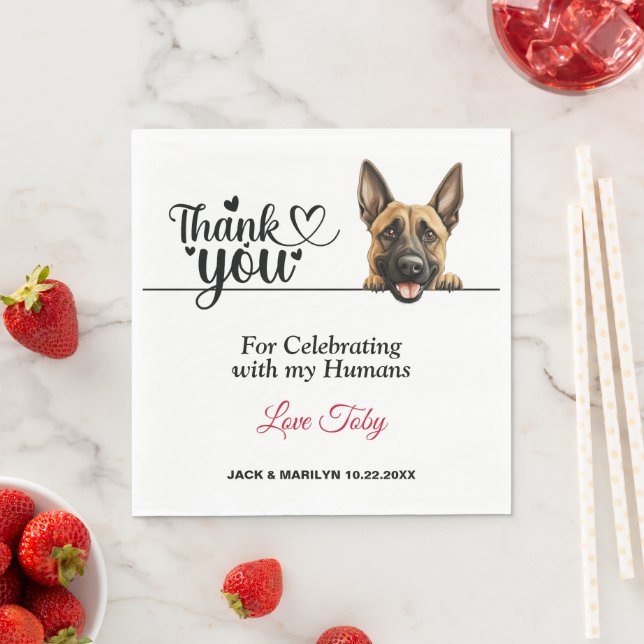 Serviette En Papier Cocktail Mariage de chien Malinois belge (En situation)