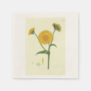 Serviette En Papier Cocktail Napkin