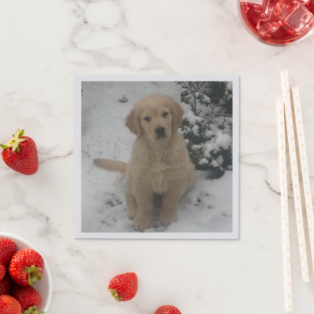 Serviette En Papier Cocktail serviettes - Festive Golden Retriever Pup (En situation)