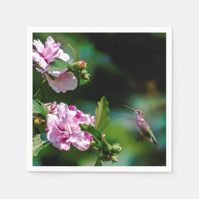 Serviette En Papier Colibri à gorge rubis - Photo originale (Devant)