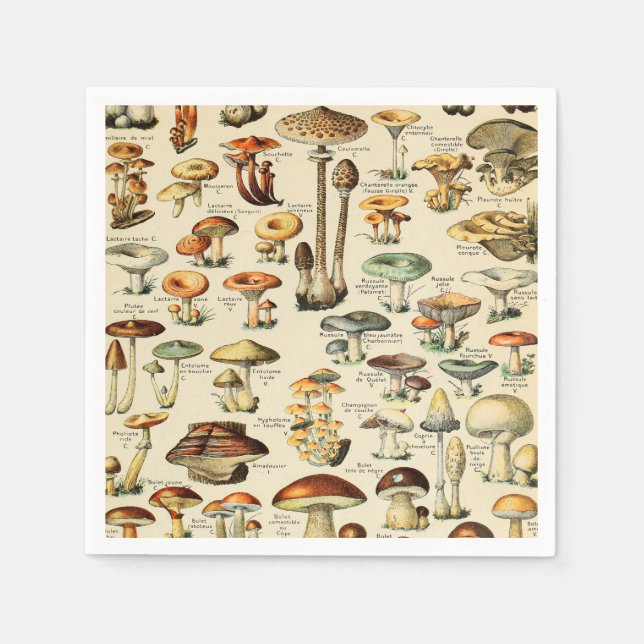 Serviette En Papier Collection de champignons (Devant)