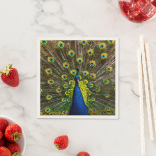 Serviette En Papier Colorful peacock