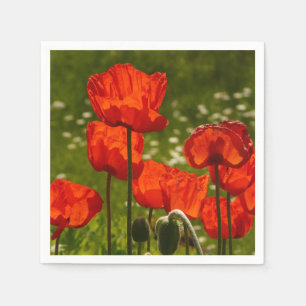 Serviette En Papier Coquelicots éclatants