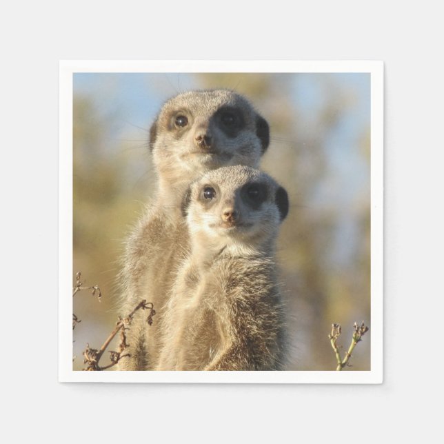 Serviette En Papier Couple of Meerkats Photo (Devant)