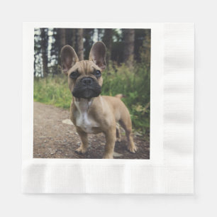 Serviette En Papier Coussin de lancer Bouledogue Français