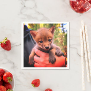 Serviette En Papier Coyote Cub