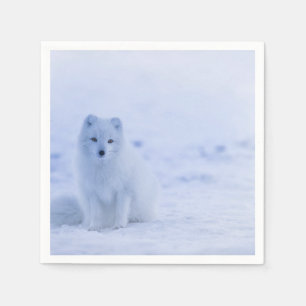 Serviette En Papier Cute Arctic Fox sur Snowy Winter Arrière - plan
