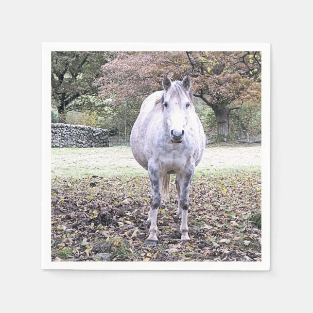 SERVIETTE EN PAPIER CUTE HORSE (Devant)