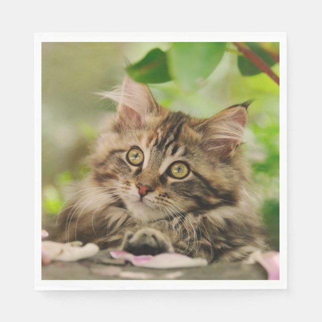 Serviette En Papier Cute Maine Coon chaton (Devant)