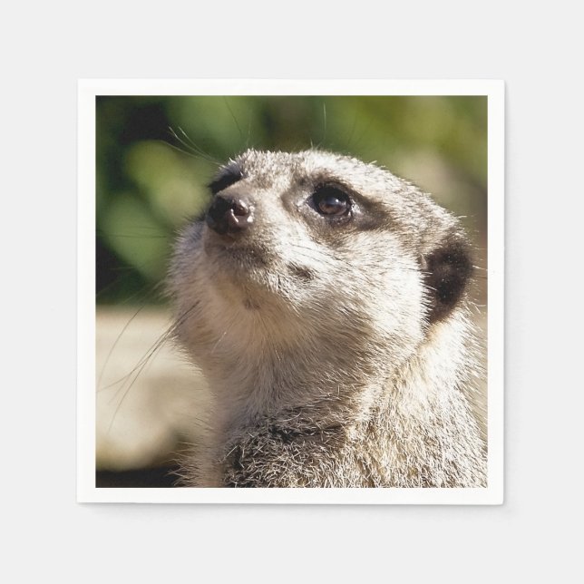 SERVIETTE EN PAPIER CUTE MEERKAT (Devant)