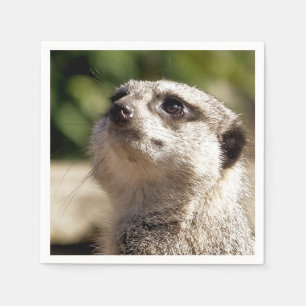SERVIETTE EN PAPIER CUTE MEERKAT