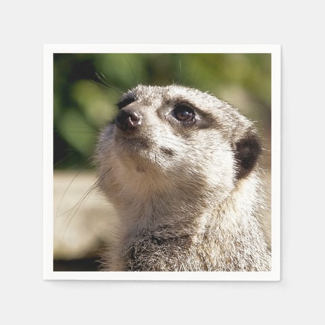 SERVIETTE EN PAPIER CUTE MEERKAT (Devant)