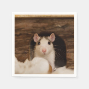 Serviette En Papier Cute rat