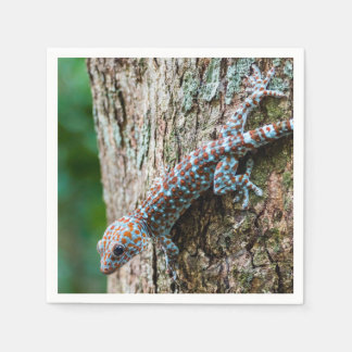 Serviette En Papier Cute Tokay Gecko Lizard