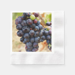 Serviette En Papier Des Raisins Sur Une Vigne
