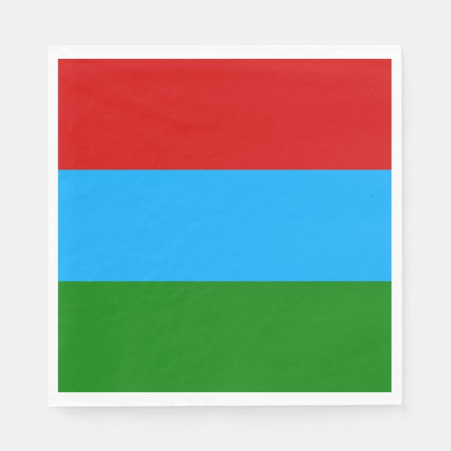 Serviette En Papier Drapeau de la République de Karelia (Devant)
