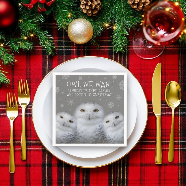 Serviette En Papier Drôle Chouette que nous voulons pour Noël ... Chou (Trio of Snowy Owls Napkin Cover Photo)