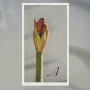 Serviette En Papier Élégant Amaryllis Bud Minimaliste