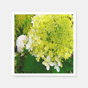 Serviette En Papier Élégante Chartreuse Vert Limelight Hydrangea