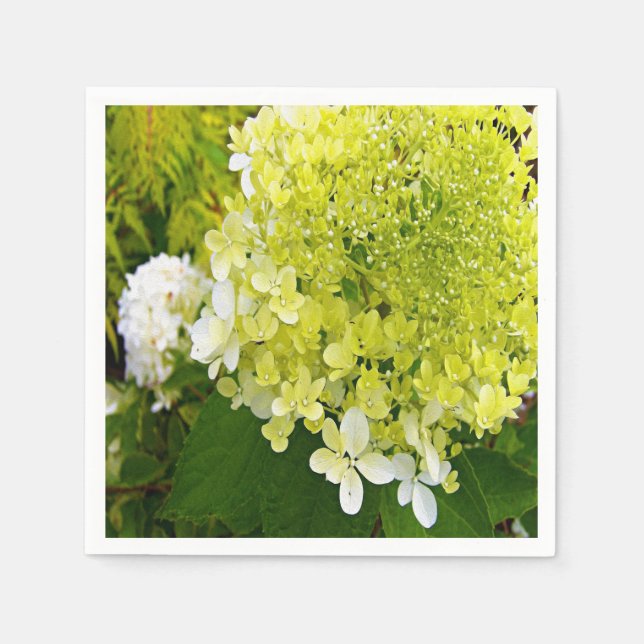 Serviette En Papier Élégante Chartreuse Vert Limelight Hydrangea (Devant)