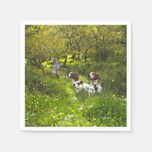 Serviette En Papier Epagneul Breton, Bretagne Espagne