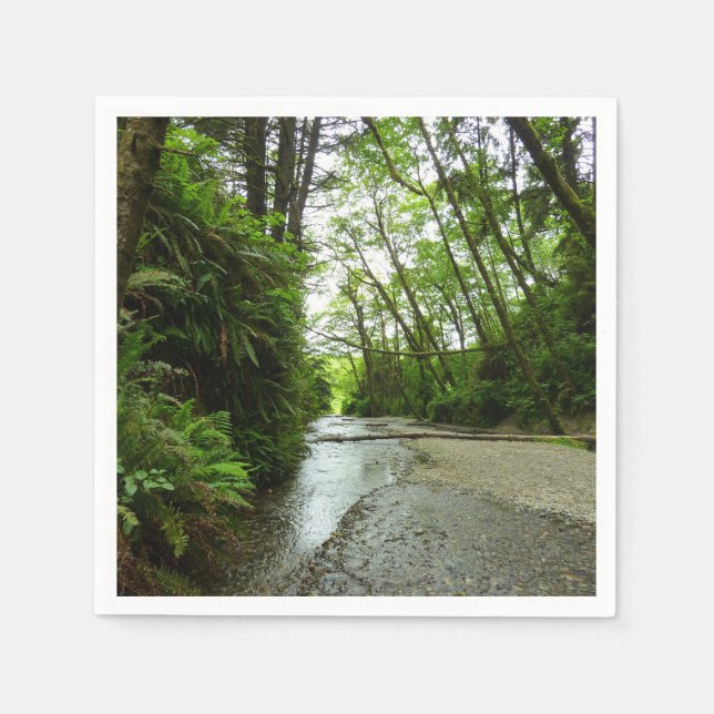 Serviette En Papier Fern Canyon II au parc national Redwood (Devant)