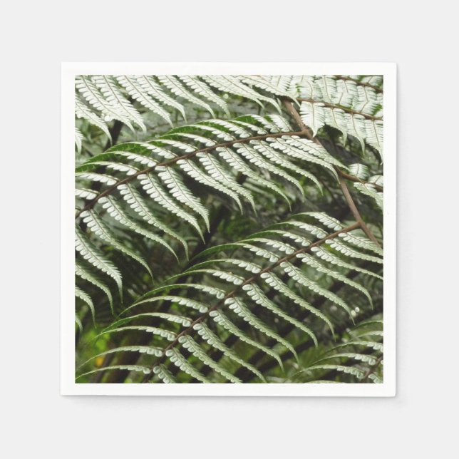 Serviette En Papier Fern Fronds II Dark Green Nature (Devant)