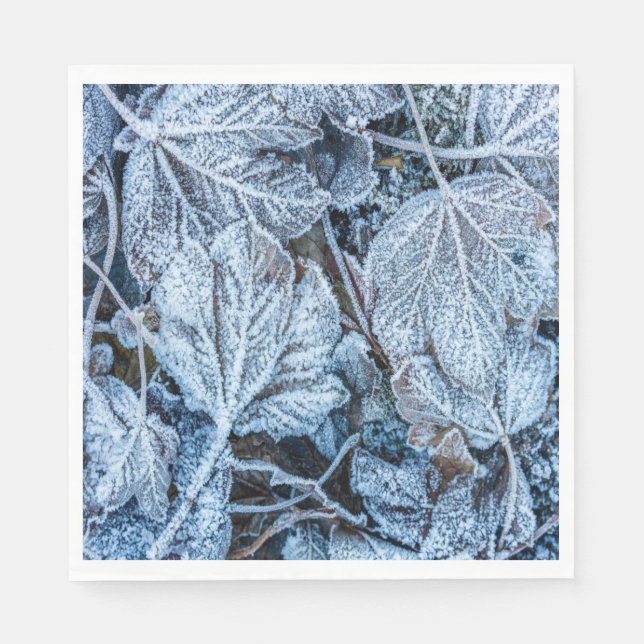 Serviette En Papier Fête de Noël Bleu Feuille Vacances de neige hiver (Devant)