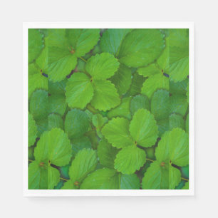 Serviette En Papier Feuille en bon état vert saint de Basil Tulsi