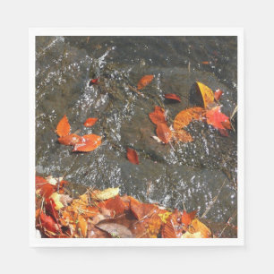 Serviette En Papier Feuilles d'automne dans la cascade I Photographie 