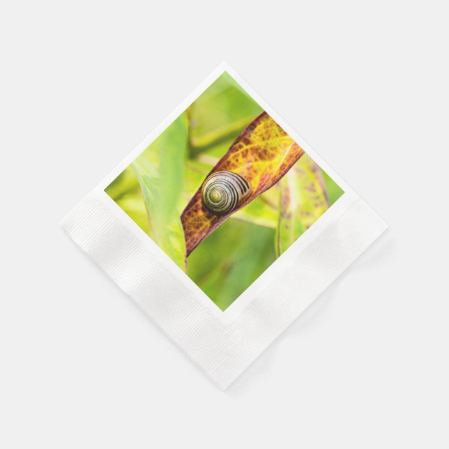 Serviette En Papier fixation calme (Coin)