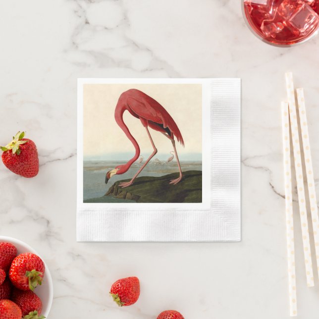 Serviette En Papier Flamant rose américain d'Audubon (En situation)