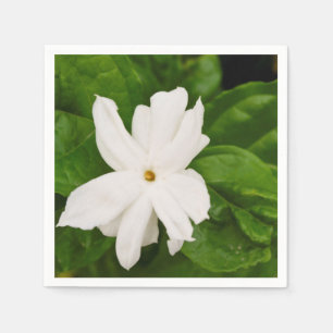 Serviette En Papier Fleur de jasmin