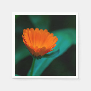 Serviette En Papier Fleur de marguerite orange
