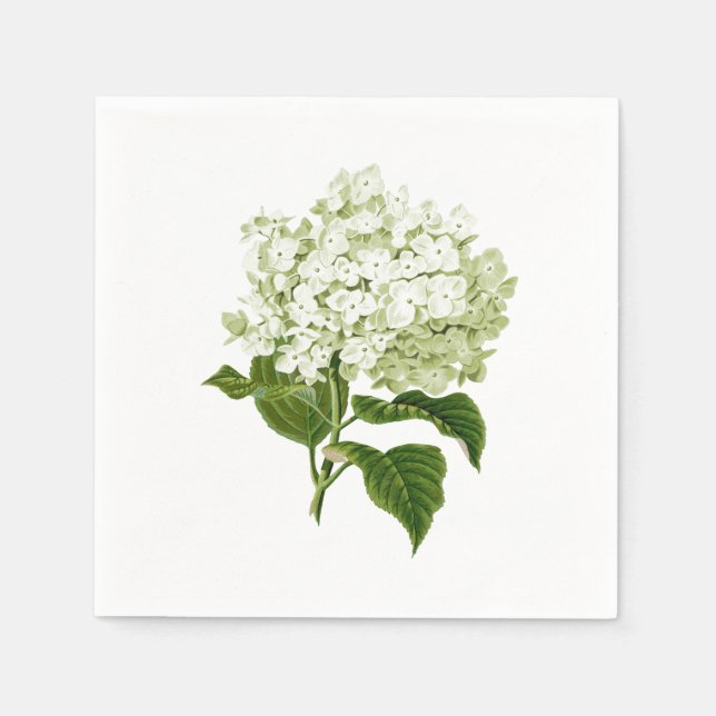 Serviette En Papier Fleur d'hydrangea antique blanche et vert pâle (Devant)