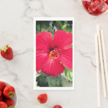 Fleur rouge d'Hibiscus Rosa-sinensis