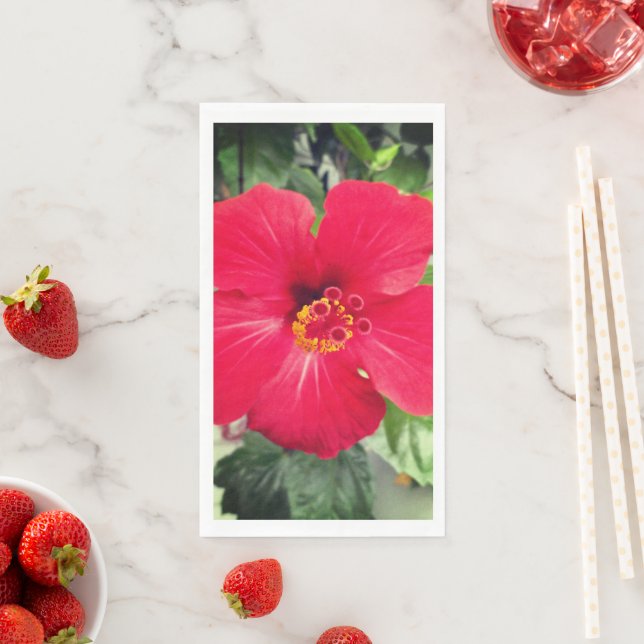 Serviette En Papier Fleur rouge d'Hibiscus Rosa-sinensis (En situation)