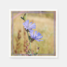 Fleurs sauvages le matin