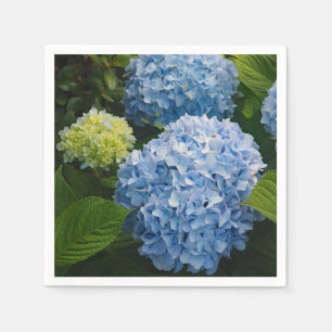 Serviette En Papier Floral Blue Hydrangea Photo