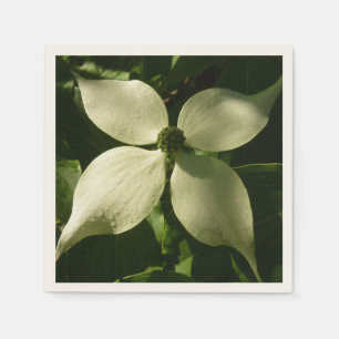 Serviette En Papier Flore printanière du Dogwood illuminé