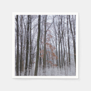 Serviette En Papier Forêt huppée neige paysage d'hiver Photographie