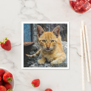 Serviette En Papier Golden Eyes