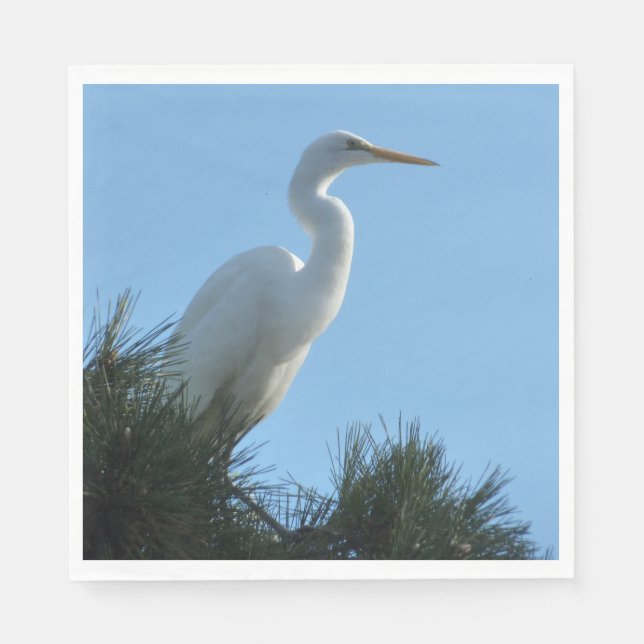 Serviette En Papier Great Egret dans la Floride ensoleillée (Devant)