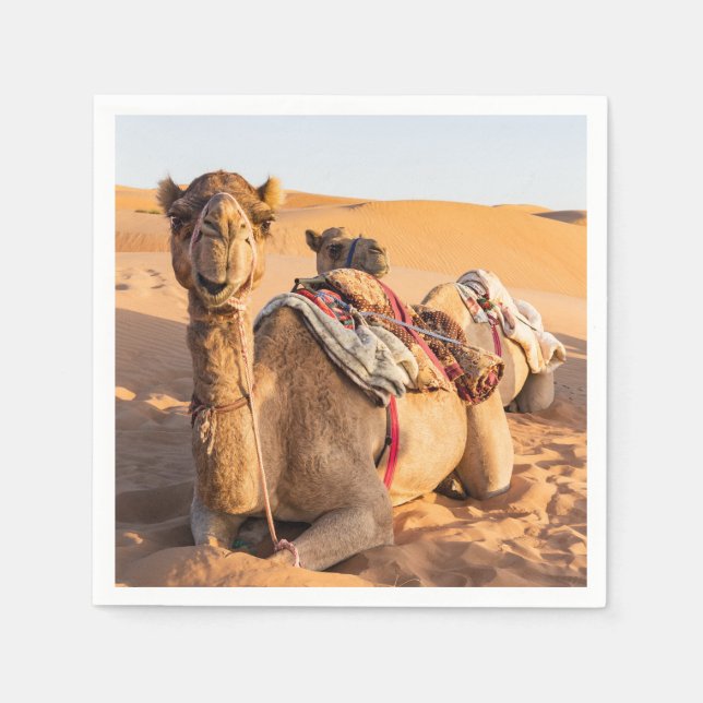 Serviette En Papier Gros plan sur Camel dans le désert d'Oman (Devant)