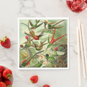 Serviette En Papier Haeckel Hummingbird Illustration ornithologique